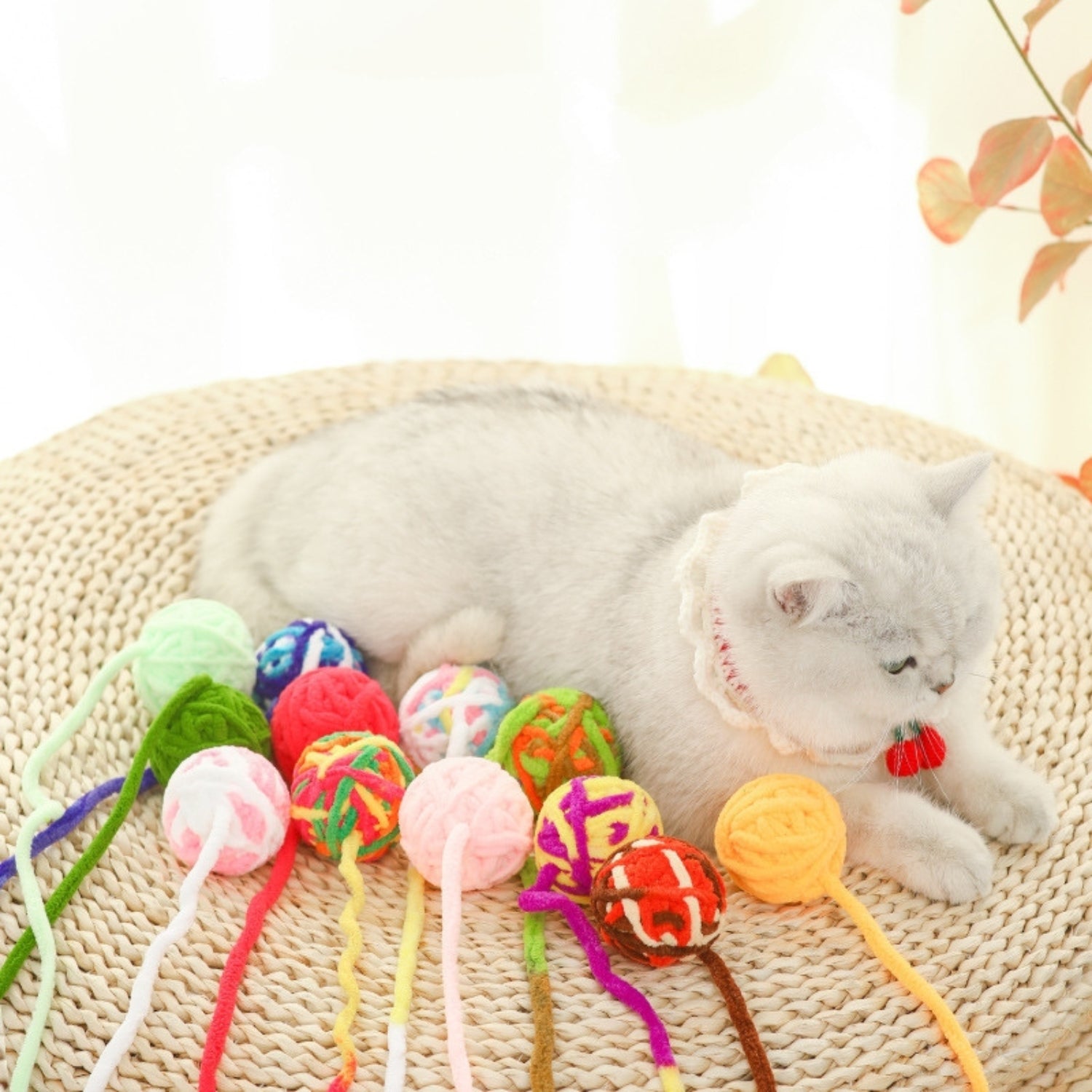 Đồ chơi bóng len cho mèo có dây nhiều màu sắc Đồ chơi bóng len cho mèo có dây nhiều màu sắc