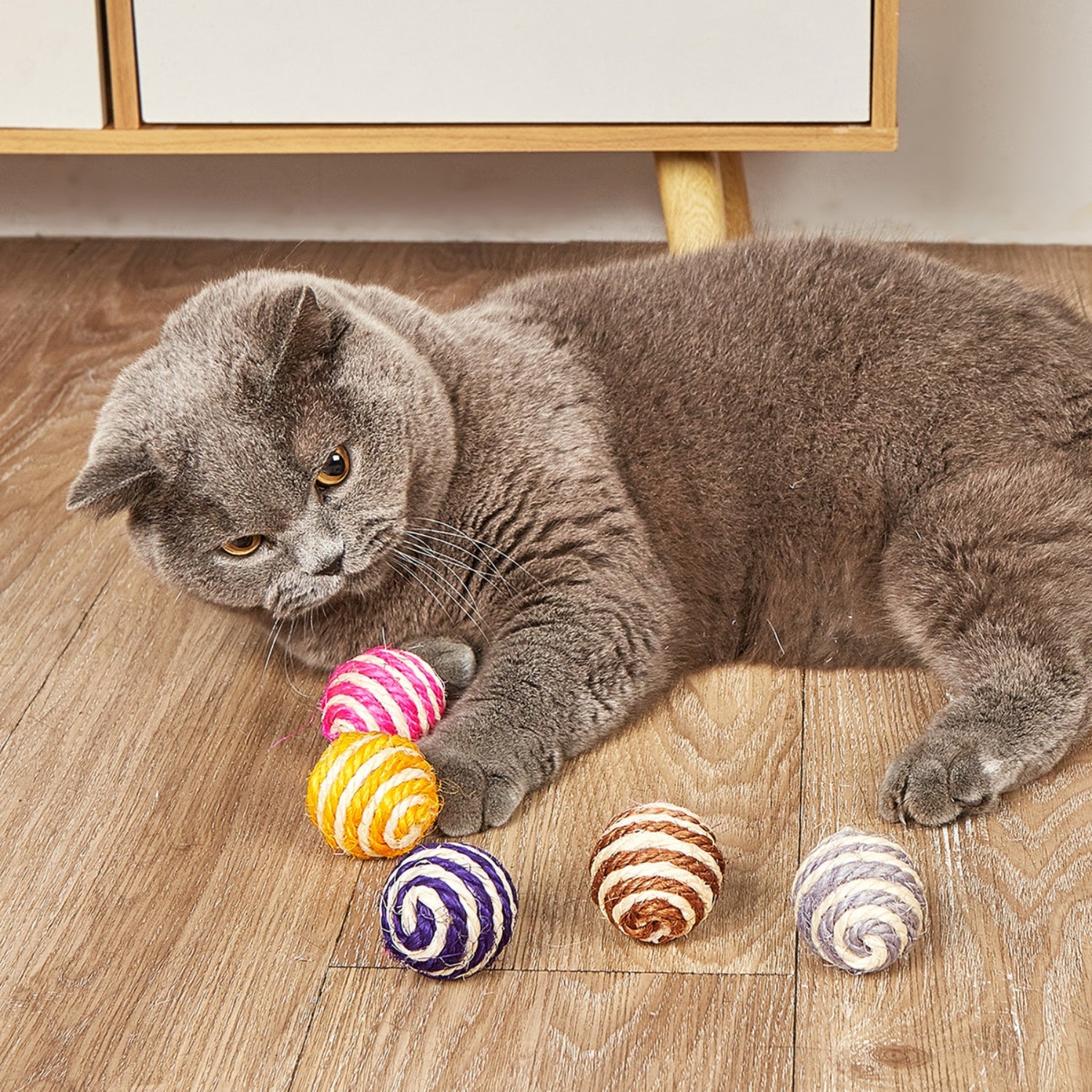 Đồ Chơi Cho Mèo Giá Rẻ, An Toàn | Giao Hàng Tận Nơi – Pi Sà Pet