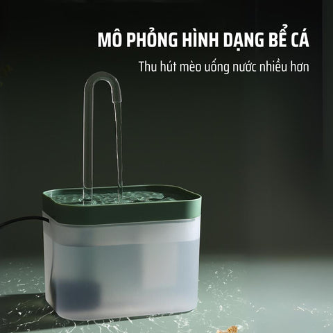 Thiết kế hình bể cá, kích thích mèo uống nước