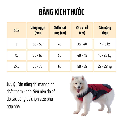 Bảng kích thước quần áo chó to 