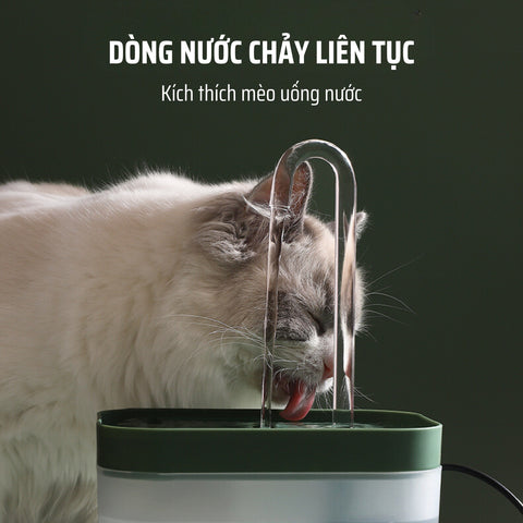 Máy Lọc Nước Cho Mèo Có Vòi Nước Cao Cổ