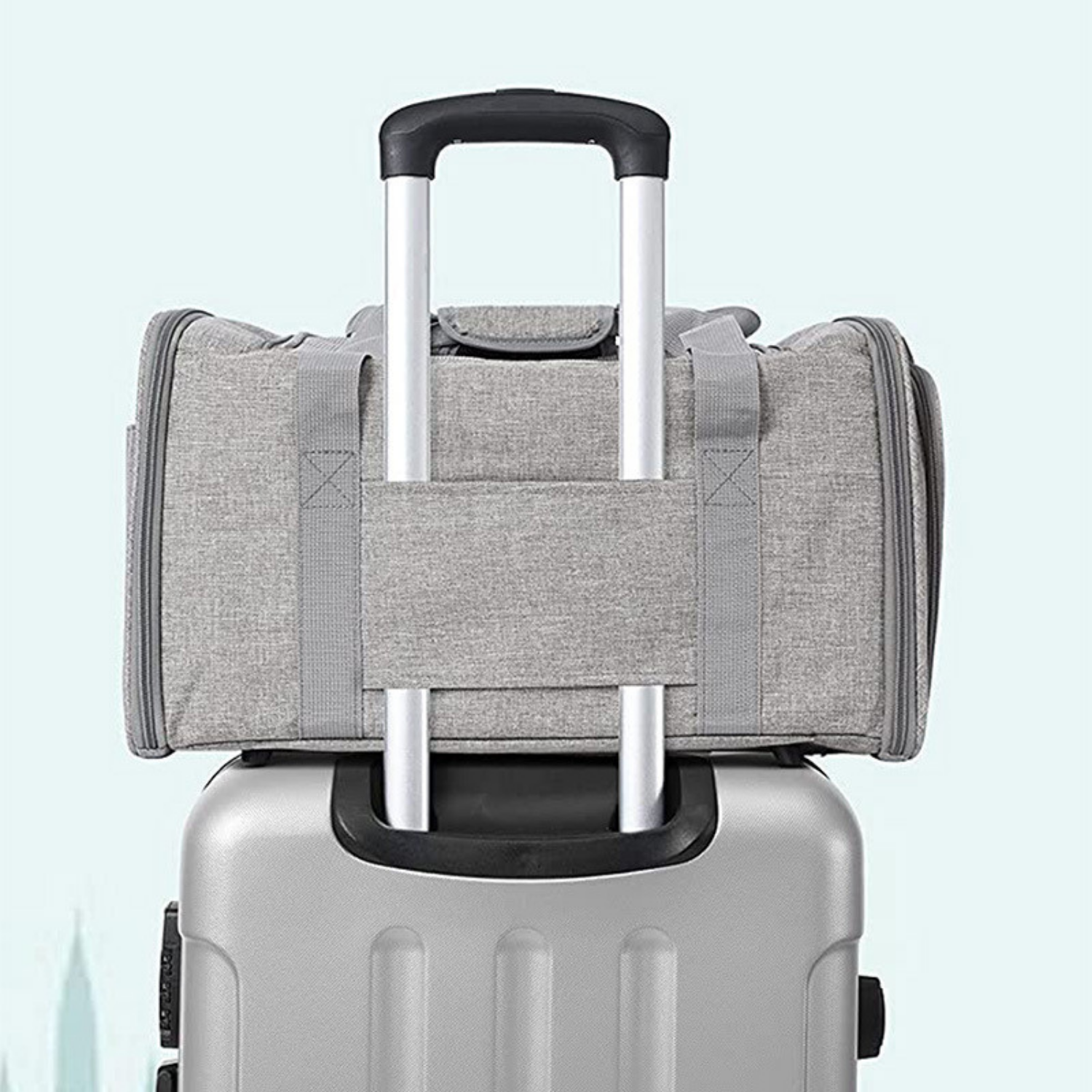 Túi vận chuyển chó mèo chuẩn hàng không