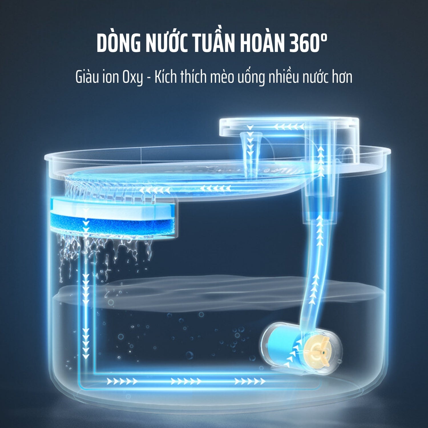 Dòng nước tuần hoàn kích thích mèo uống nước nhiều hơn