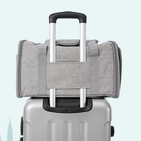 Túi vận chuyển chó mèo chuẩn hàng không