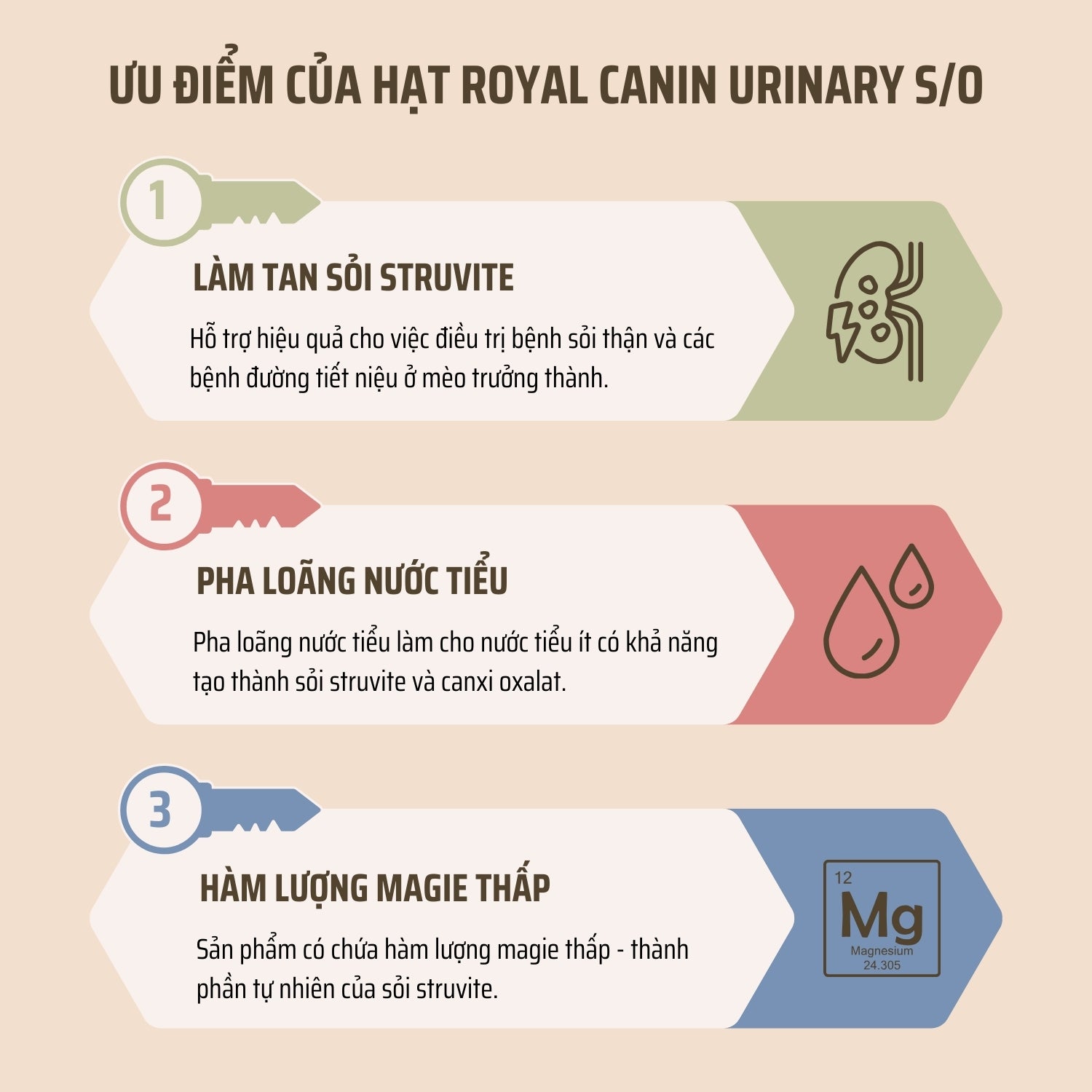 Ưu điểm của hạt Royal Canin Urinary S/O cho mèo bị bệnh thận