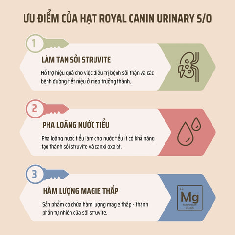 Ưu điểm của hạt Royal Canin Urinary S/O cho mèo bị bệnh thận