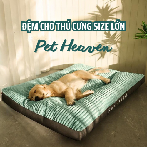đệm cho thú cưng size lớn pet heaven