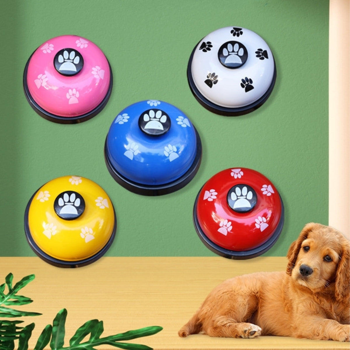 Chuông huấn luyện mèo và chó