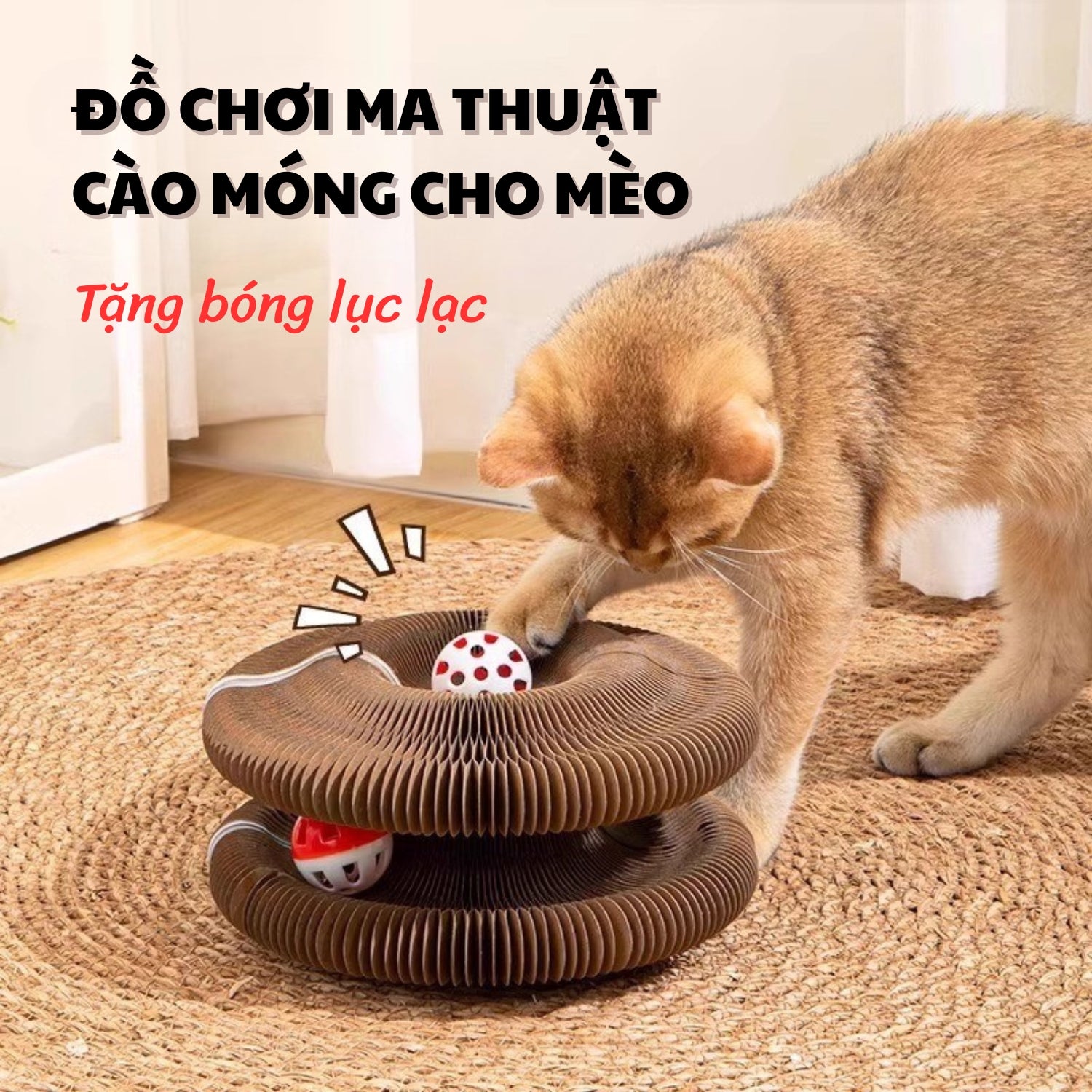 đồ chơi bàn cào móng ma thuật cho mèo 