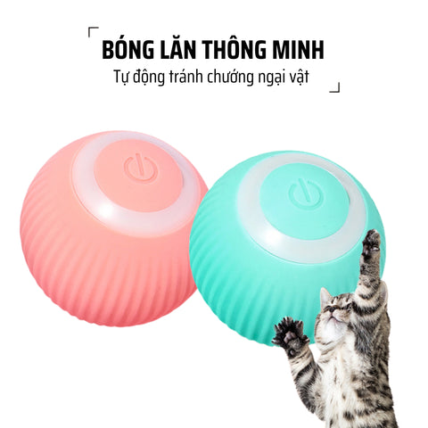 Đồ Chơi Quả Bóng Lăn Tự Động Cho Chó Mèo Tự Chơi