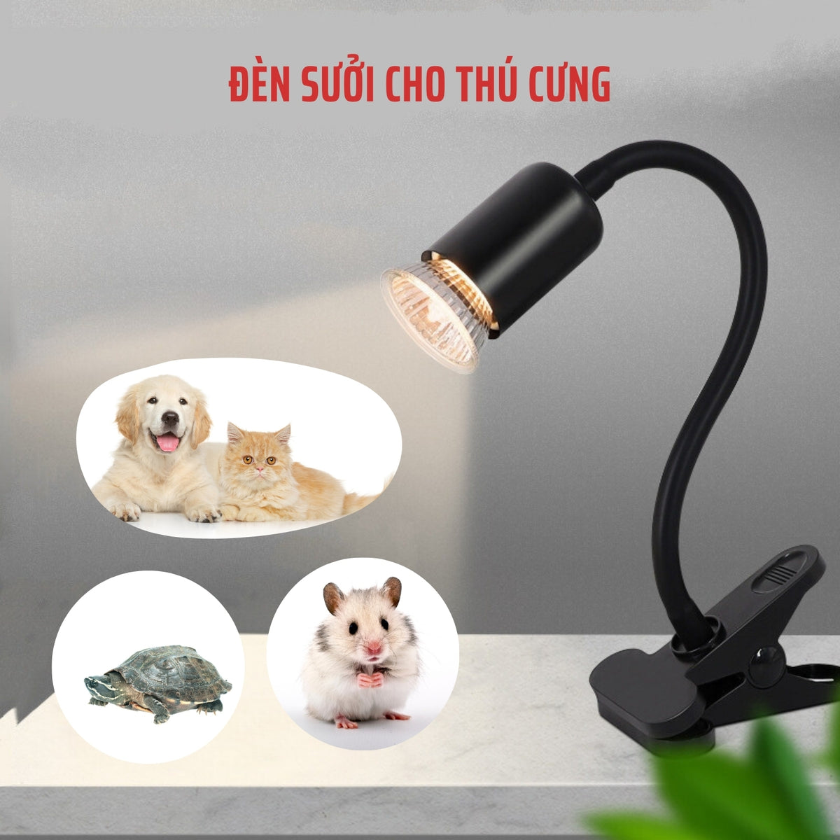 đèn sưởi mùa đông cho thú cưng 