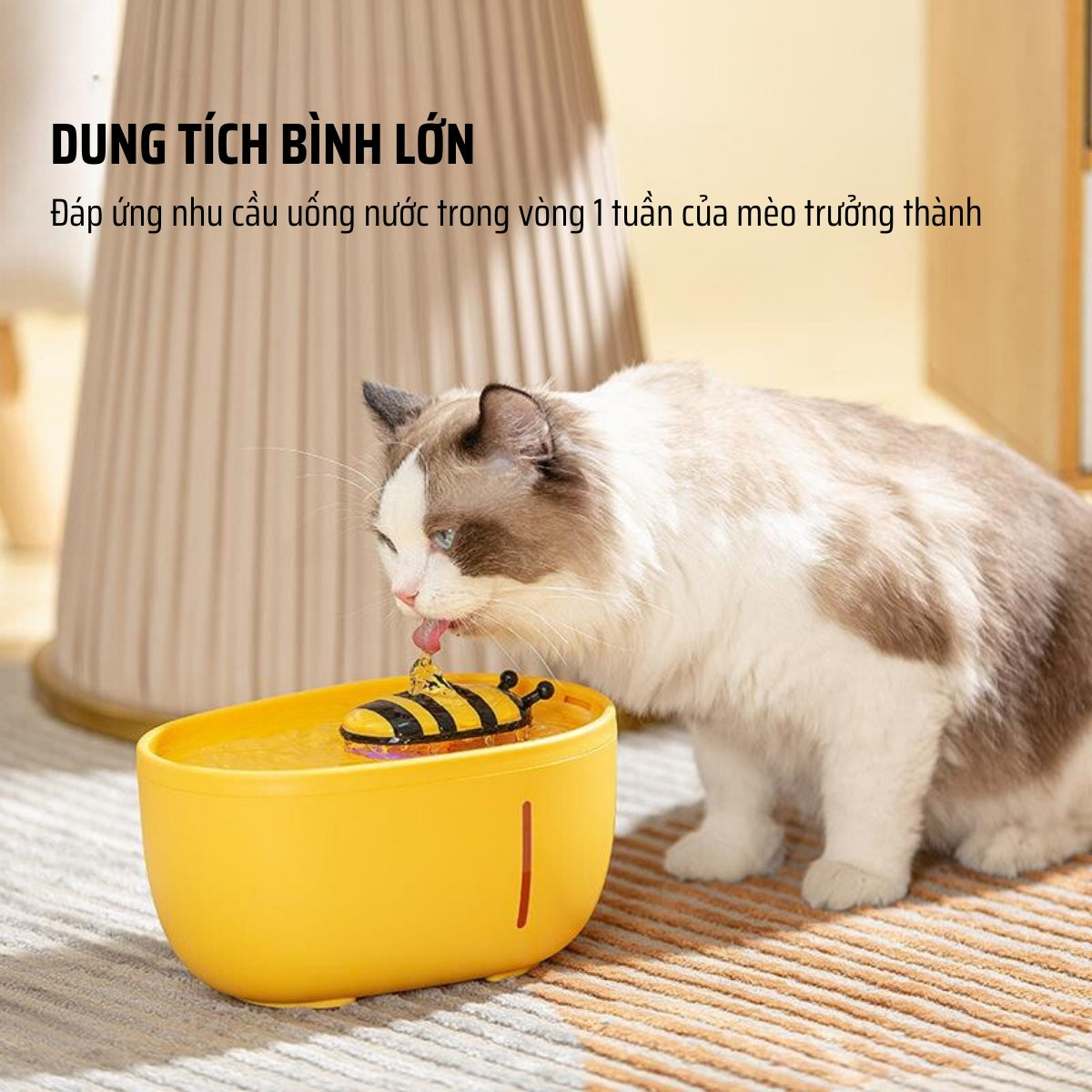 Dung tích của máy uống nước tự động cho mèo mẫu chú ong vàng