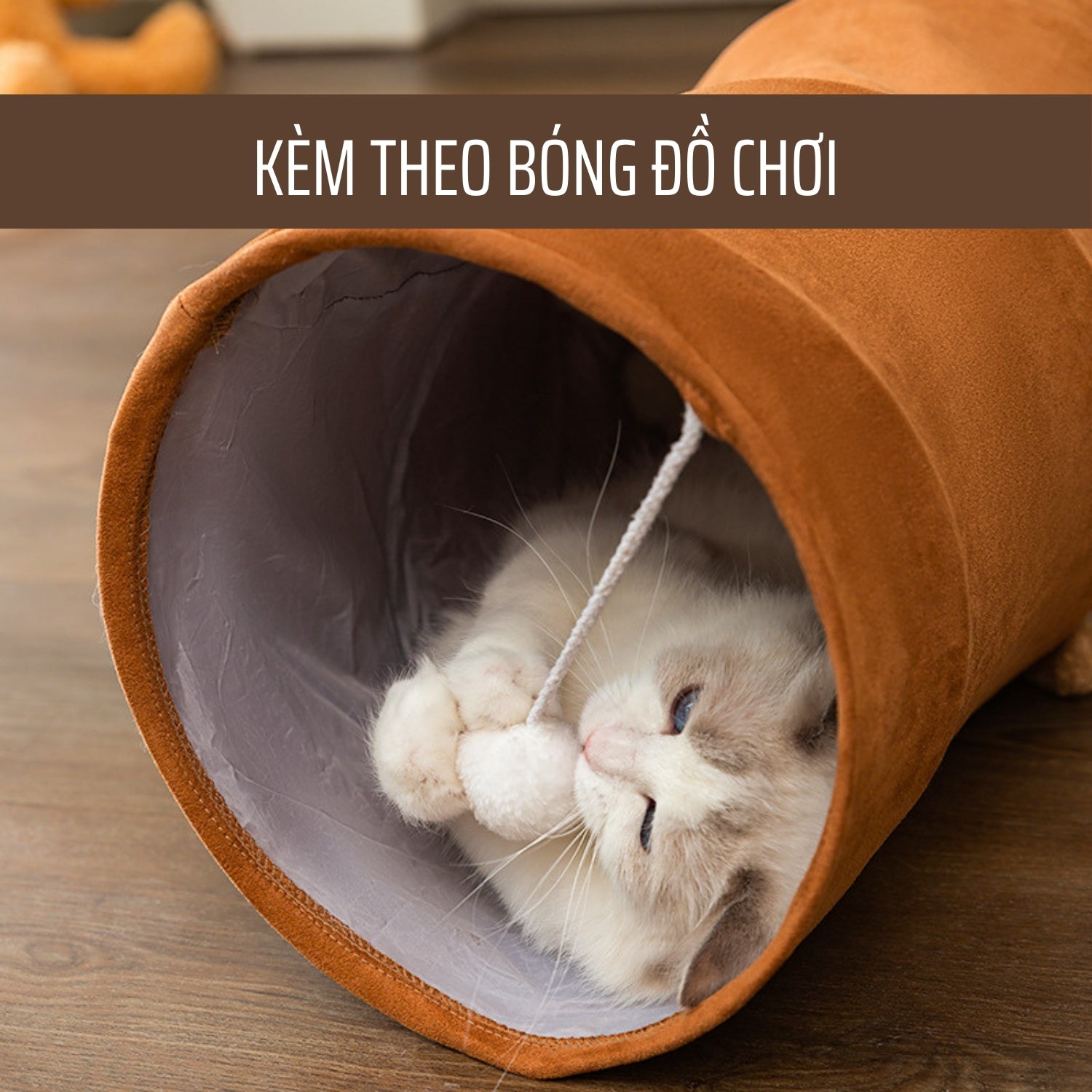 Đồ chơi đường hầm cho mèo kèm theo bóng