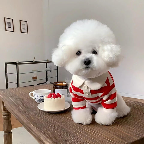 Áo cho chó Bichon mẫu sọc ngang đỏ trắng