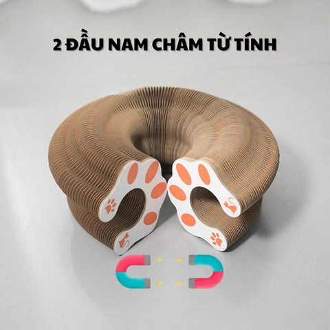bàn cào móng cho mèo con