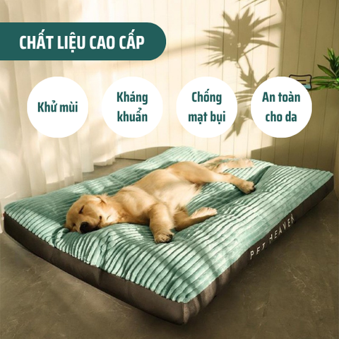 giường cho chó cao cấp