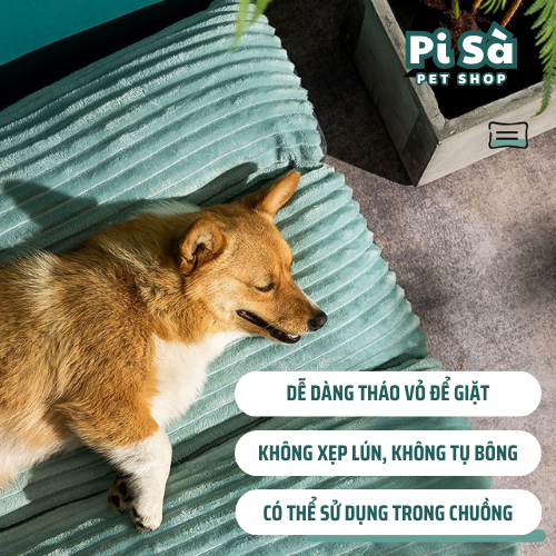 đệm bông cho chó mèo