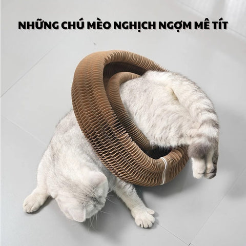 dụng cụ mài móng cho mèo được làm bằng carton mật độ gợn sóng cao