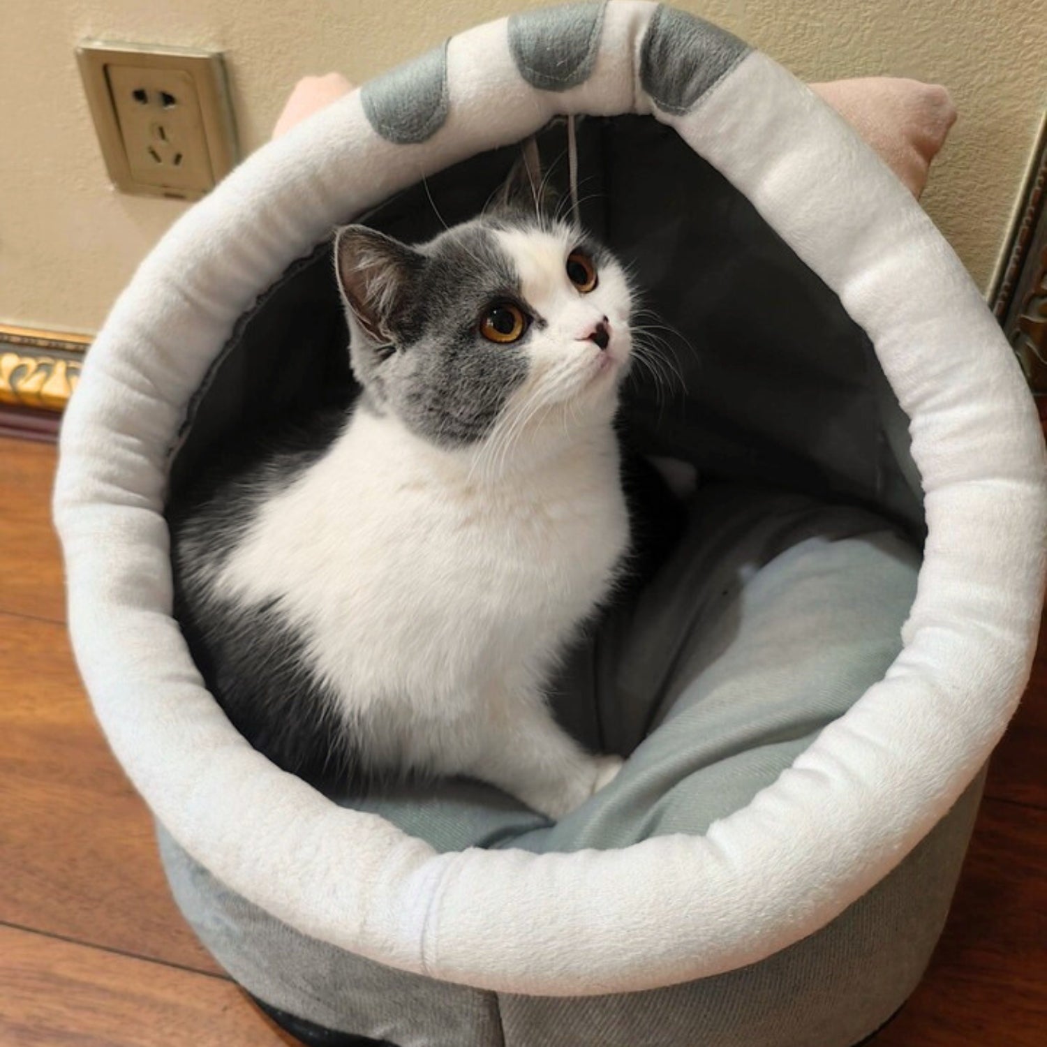 nhà cho mèo ngủ ấm áp