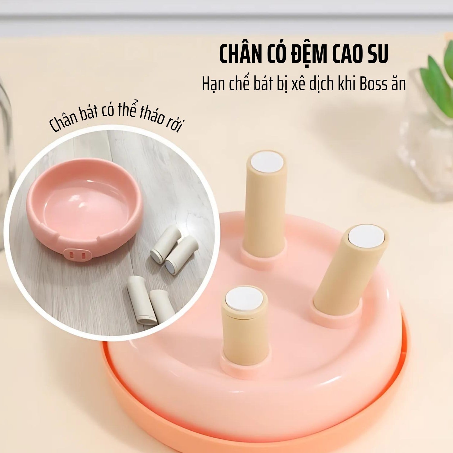 Chân bát ăn chống gù cho mèo có đệm cao su chống trượt