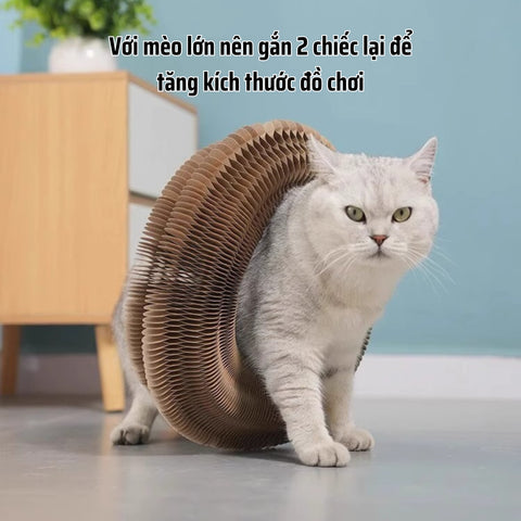 Bàn tròn mài móng cho mèo lớn