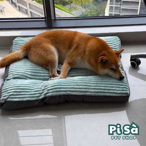 Ổ nằm cho chó Shiba