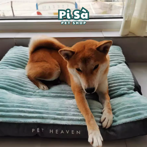 Giường ngủ mùa đông cho chó mèo