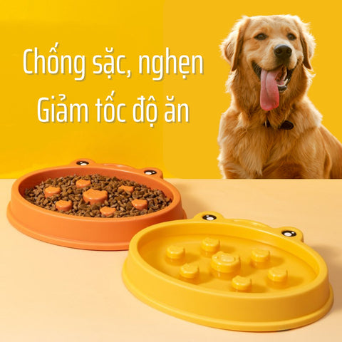 Bát ăn chống nghẹn cho chó 