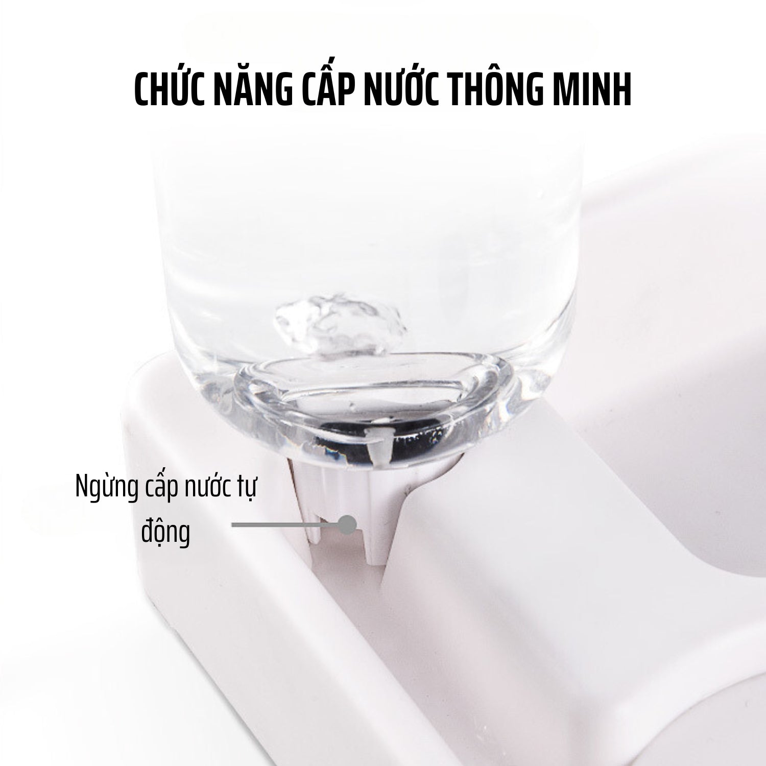 Chức năng cấp nước của sản phẩm bát ăn kèm bình nước cho chó mèo