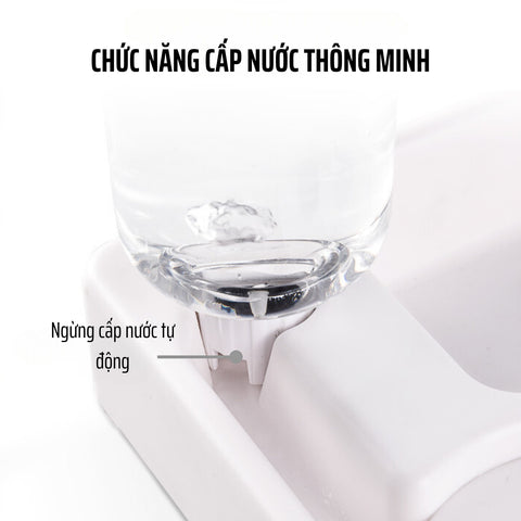 Chức năng cấp nước của sản phẩm bát ăn kèm bình nước cho chó mèo