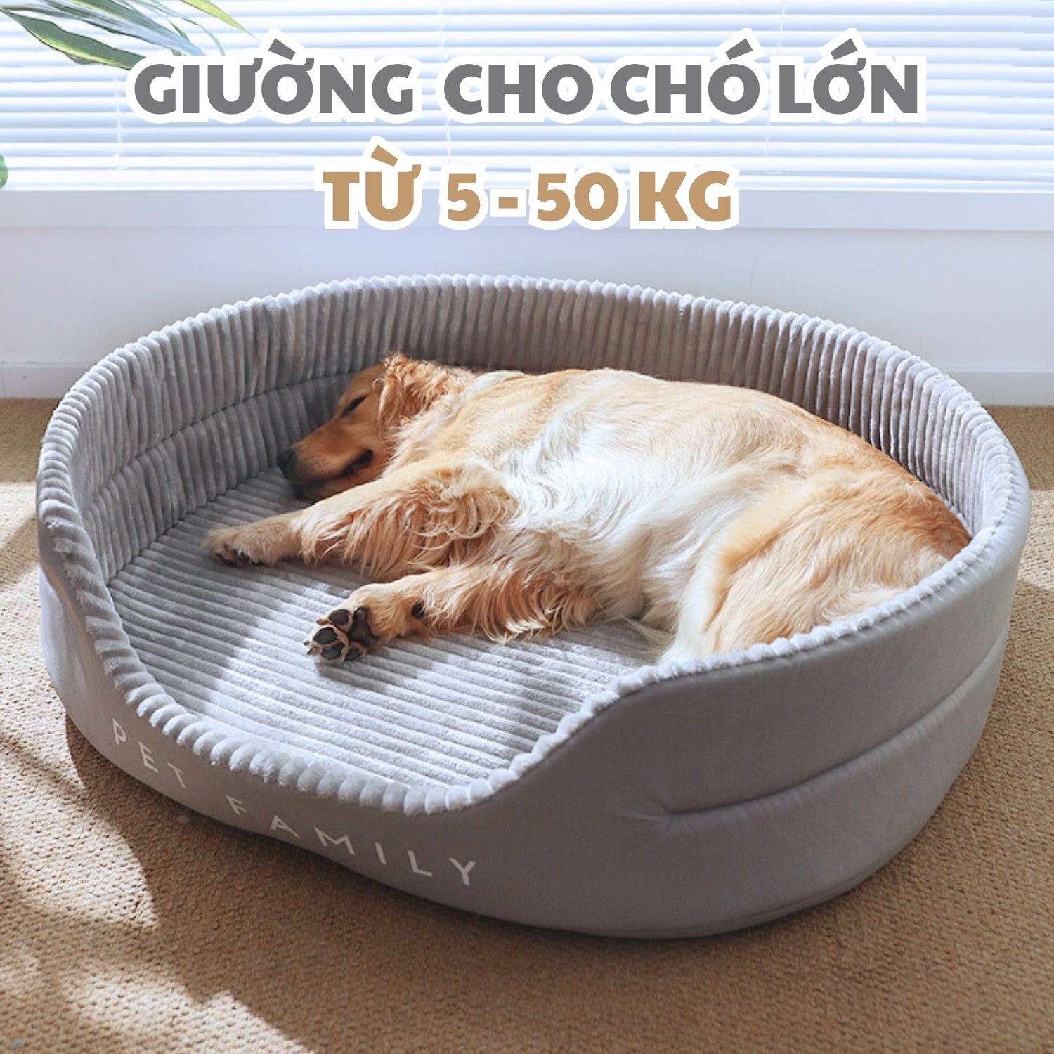 Ổ nằm bốn mùa cho chó mèo PET FAMILY