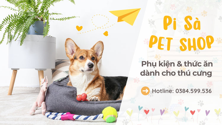 Cửa hàng phụ kiện và thức ăn chó mèo Pi Sà Pet Shop