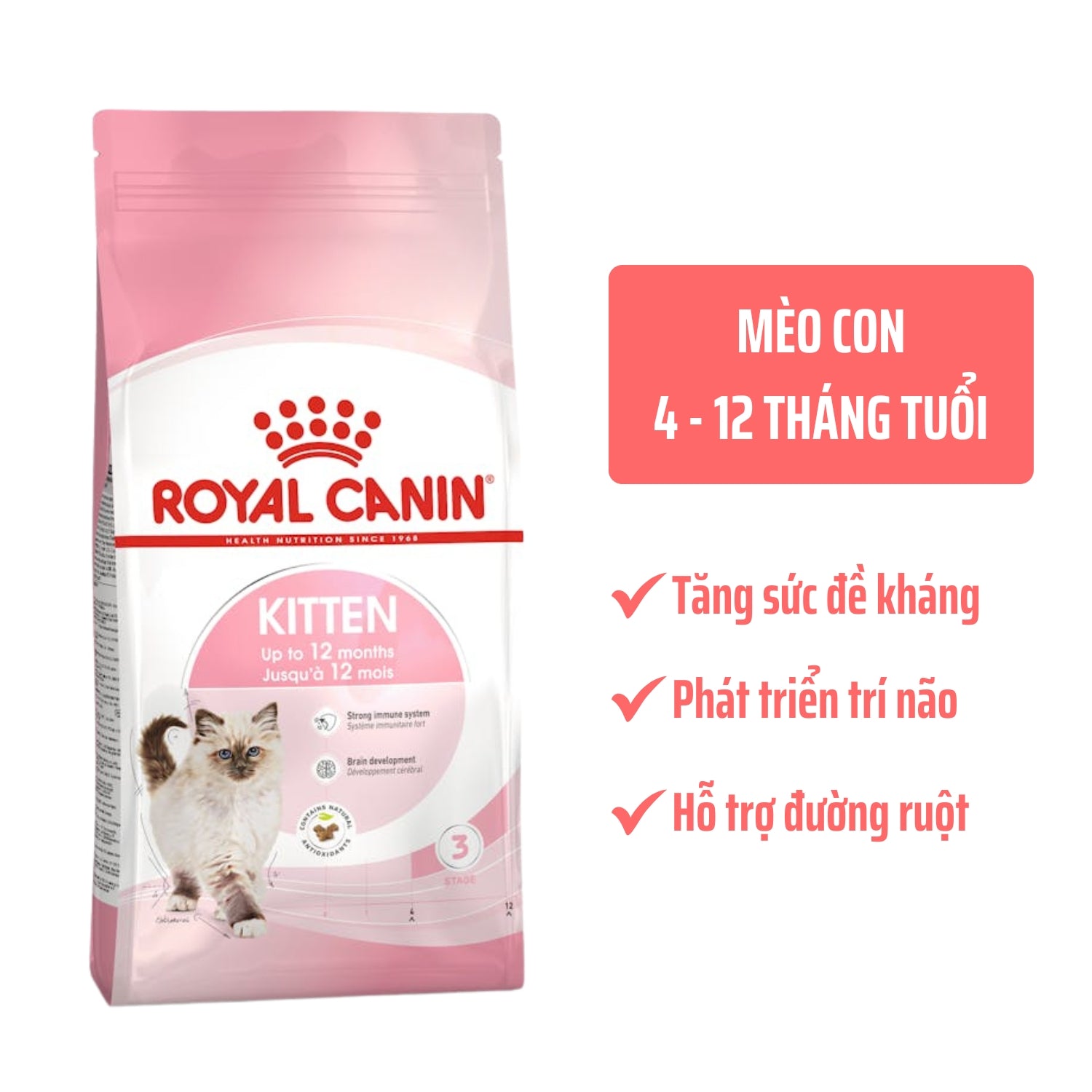 Thức Ăn Hạt Royal Canin Kitten Cho Mèo Con 4-12 tháng tuổi