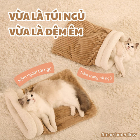 Vừa là túi ngủ vừa là đệm nằm cho mèo