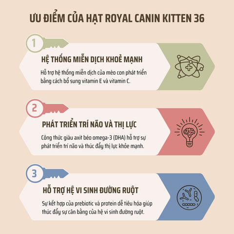 Ưu điểm của thức ăn hạt Royal Canin Kitten 36 cho mèo con